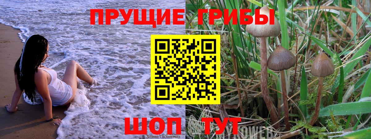 Псилоцибиновые грибы ЛСД Новокуйбышевск