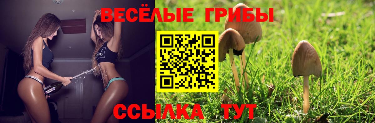 Галлюциногенные грибы GOLDEN TEACHER  Вход с VPN  Псилоцибиновые грибы мухоморы  Новокуйбышевск 