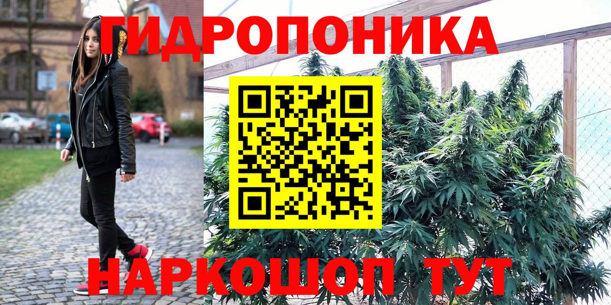 Каннабис OG Kush  Вход с VPN  Каннабис White Widow  Новокуйбышевск  Канабис White Widow 